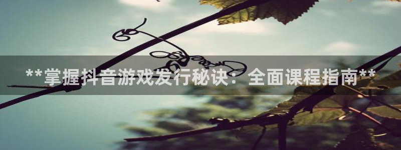 天辰平台会员值得买吗知乎：**掌握抖音游戏发行秘诀：全面课程指南**
