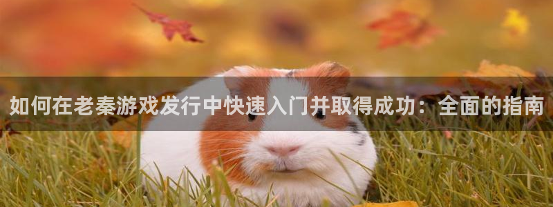天辰平台像7O777：如何在老秦游戏发行中快速入门并取得成功：全面的指南