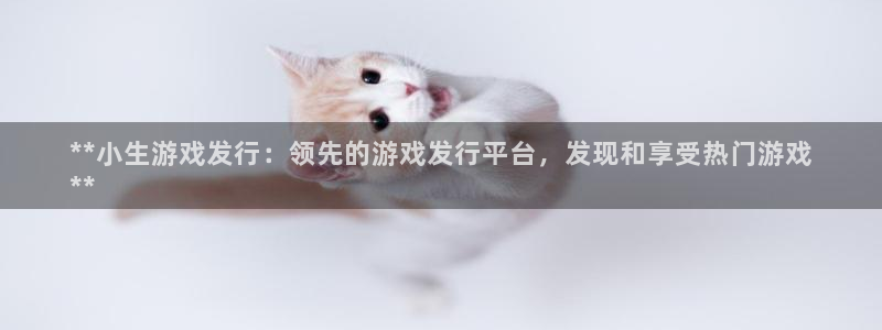 天辰平台 注册你的专属平台入口：**小生游戏发行：领先的游戏发行平台，发现和享受热门游戏
**