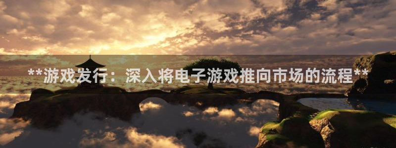 天辰娱乐代理注册平台登录系统官网：**游戏发行：深入将电子游戏推向市场的流程**