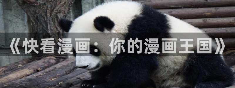 天辰平台 -你的专属平台