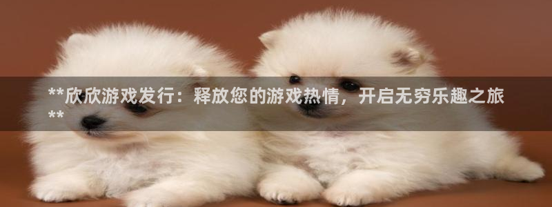 天辰平台注册地址怎么改：**欣欣游戏发行：释放您的游戏热情，开启无穷乐趣之旅
**