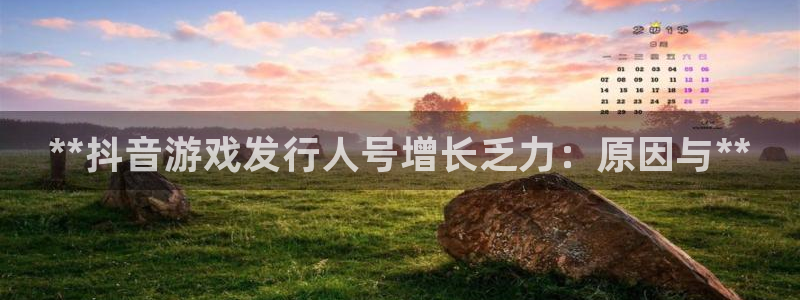 天辰平台注册登录地址：**抖音游戏发行人号增长乏力：原因与**