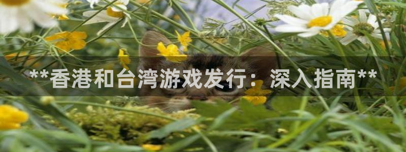 天辰平台招商1111怎么样：**香港和台湾游戏发行：深入指南**